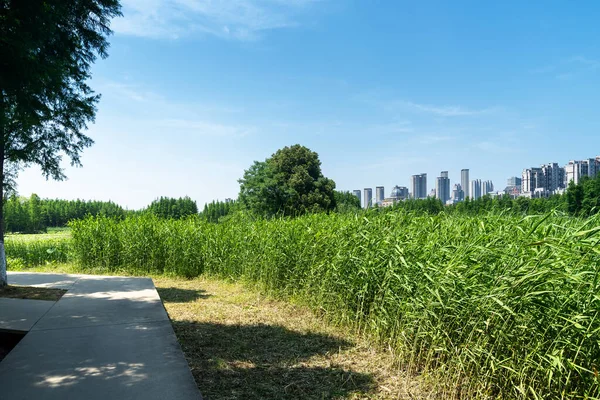 Bahar Parkı ve modern şehir