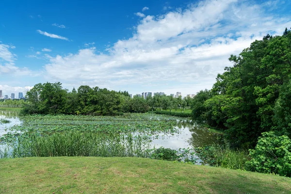 Bahar Parkı ve modern şehir