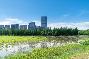 Çin 'deki Lakeside modern ofis binası