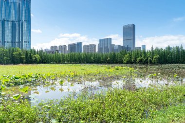 Çin 'deki Lakeside modern ofis binası