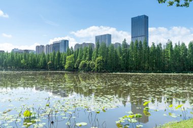 Çin 'deki Lakeside modern ofis binası