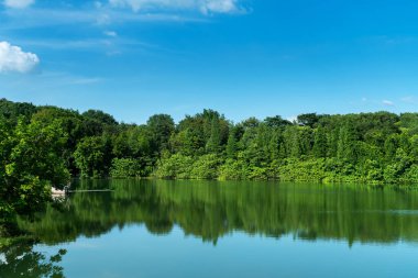 Parktaki göletin çevresi yemyeşil