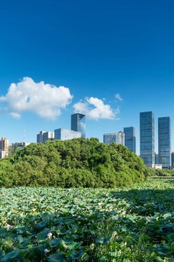 Bahar Parkı ve modern şehir