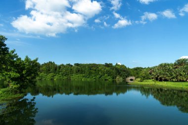 Parktaki göletin çevresi yemyeşil