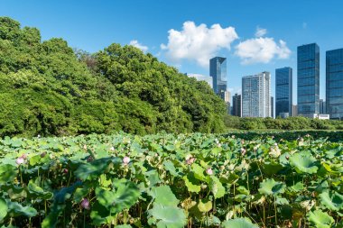 Bahar Parkı ve modern şehir