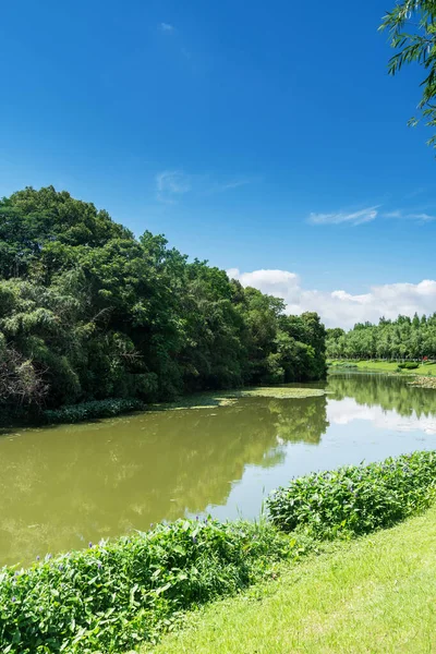 Parktaki göletin çevresi yemyeşil