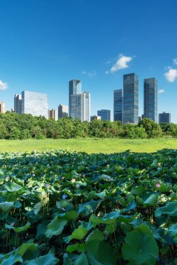 Bahar Parkı ve modern şehir