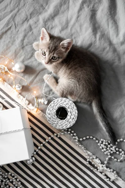 Симпатичный котенок, играющий с рождественскими игрушками на заднем плане — стоковое фото