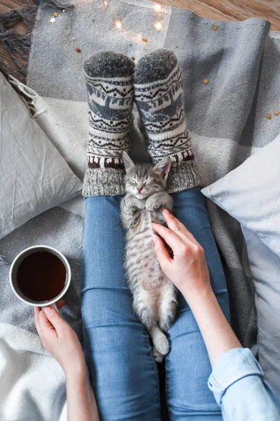 Mujer sosteniendo una taza de té mientras juega con su gato —  Fotos de Stock