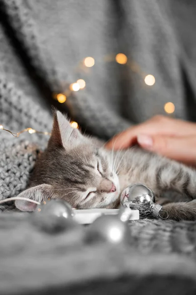 Een leuk katje rust op een grijze plaid in kerstballen — Stockfoto