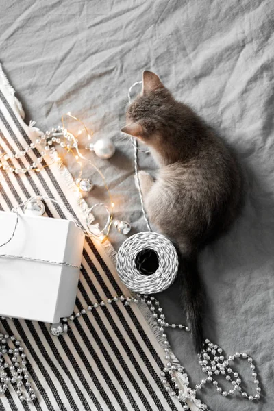 Милий кошеня сірий, граючи Різдвяні іграшки на фоні Боке — стокове фото