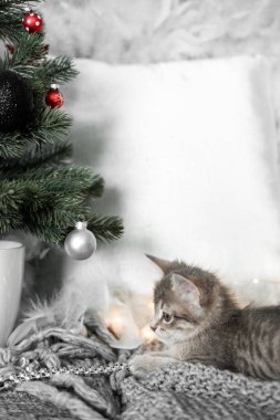 Noel ağacı Noel oyuncakları ile oynarken şirin gri kedicik