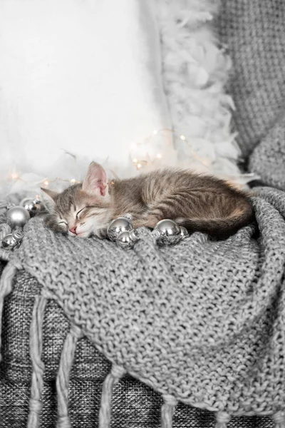 Милый котенок отдыхает на серой клетке в рождественском украшении — стоковое фото