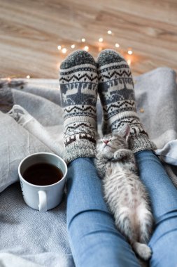 Noel çorap bir ekose yavru kedi ile oturan bir kız