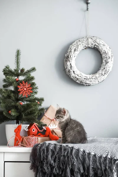 Милий кошеня в різдвяній прикрасі червоним — стокове фото