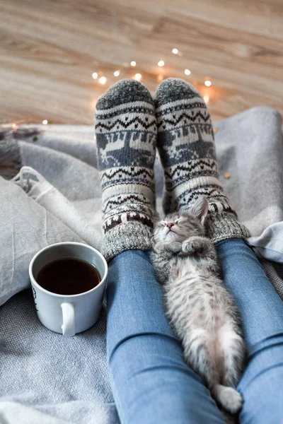 A girl in Christmas socks sitting on a plaid with kitten — Stock Photo, Image