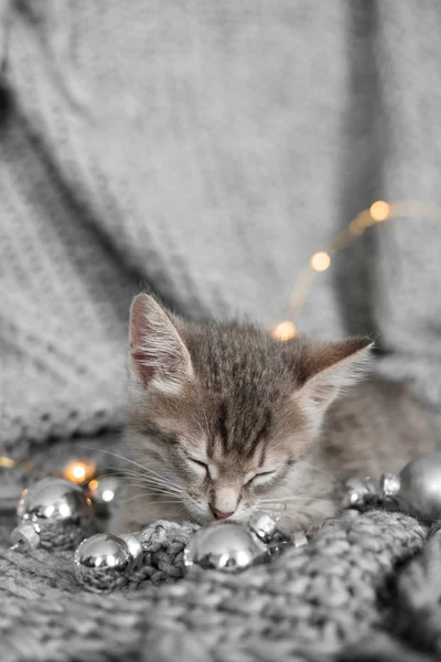 Un mignon chaton repose sur un plaid gris dans la décoration de Noël — Photo