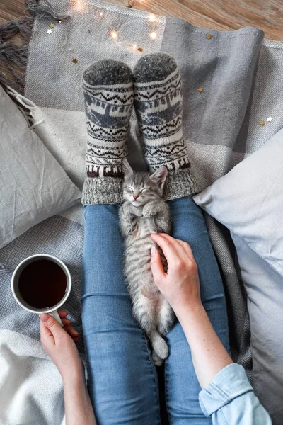 Женщина держит чашку чая, играя со своим котом — стоковое фото