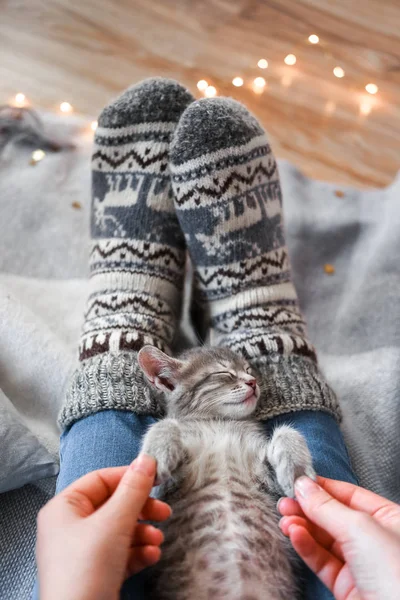 一只可爱的灰色小猫正躺在格子上。背景圣诞灯 — 图库照片