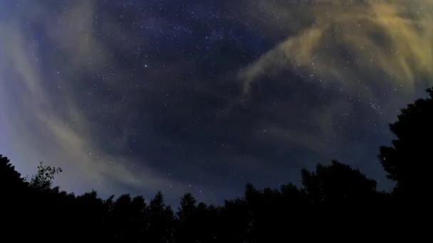 Зоряне Небо Над Деревами Рухомими Хмарами — стокове відео