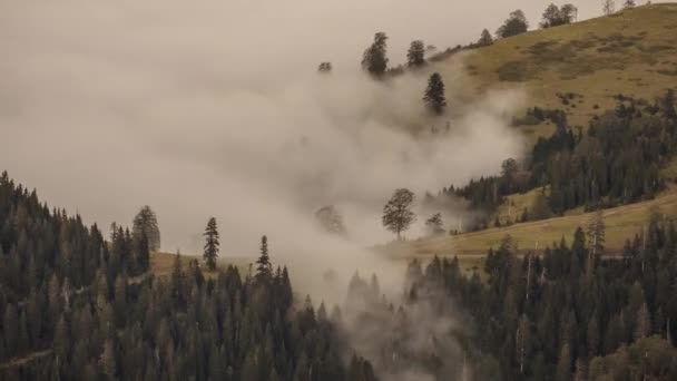 Nubes Bajas Moviéndose Sobre Colinas Con Pinos — Vídeos de Stock