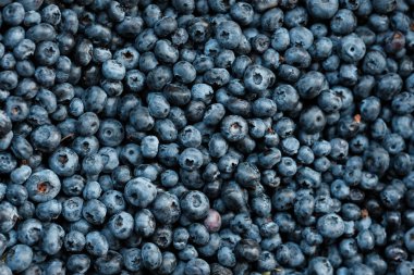 Yaban mersini arka plan. Olgun ve sulu taze yaban mersini closeup aldı