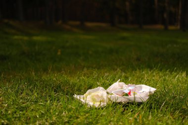 çeşitli plastik çöp kırsal yeşil çayır kalır