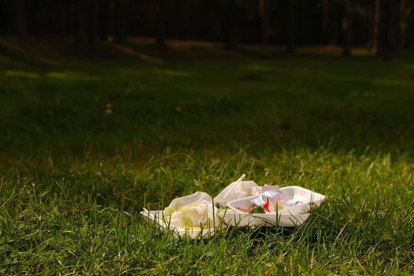 Różne Plastikowe Śmieci Pozostaje Zielonej Łące Wsi — Zdjęcie stockowe