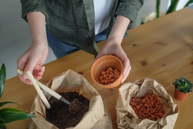 Bahçıvanlık, ot yetiştiren genç bir kadın.