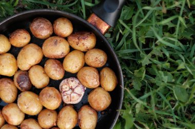Tavada patates kızartması ve sarımsak var. Üst Manzara. Piknik konsepti
