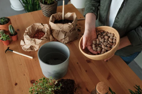 Jardinería Mujer Joven Cuidando Planta Marihuana —  Fotos de Stock