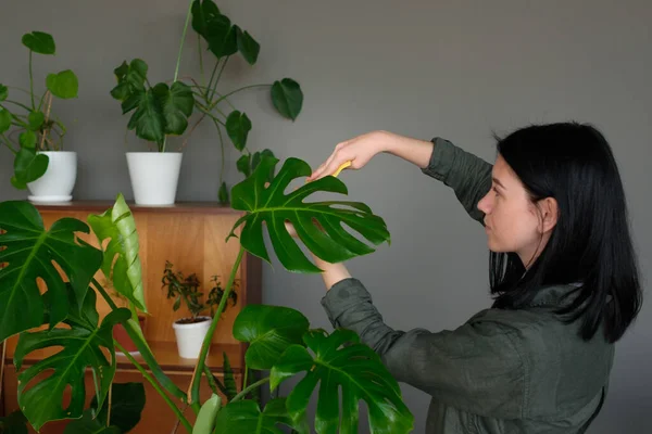 Jardinería Mujer Joven Cuidando Planta Marihuana —  Fotos de Stock