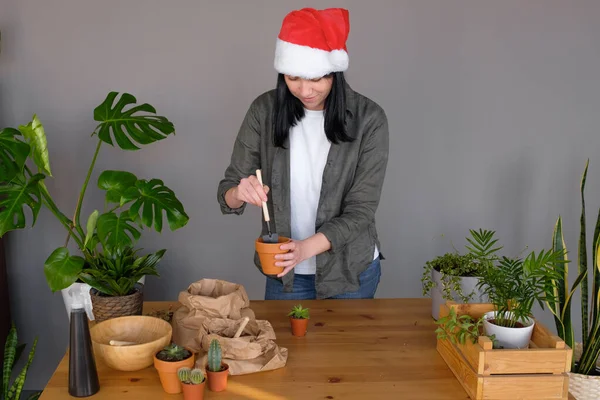 Jardinería Mujer Joven Santa Sombrero Cuidar Planta Marihuana —  Fotos de Stock