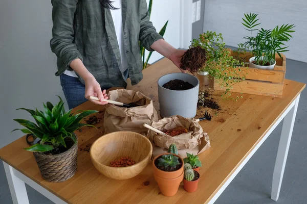 Gardening Young Woman Taking Care Pot Plants — Stock Photo, Image