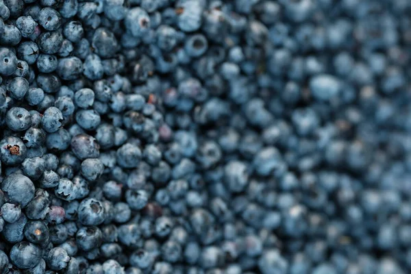 Blueberry Bakgrund Mogen Och Saftig Färska Plockade Blåbär Närbild — Stockfoto