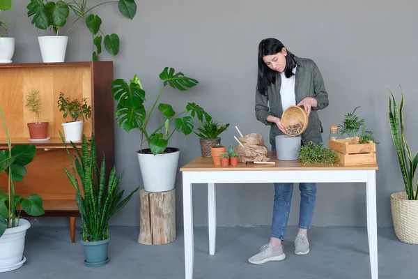 Jardinería Mujer Joven Cuidando Las Plantas —  Fotos de Stock