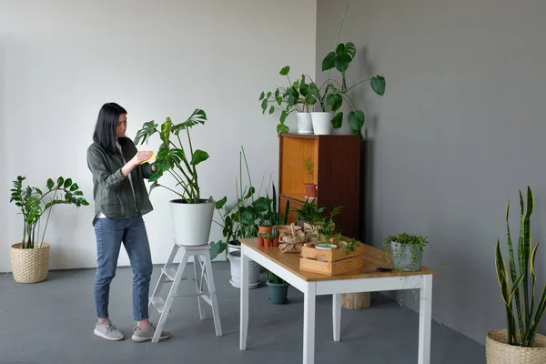 Jardinería Mujer Joven Cuidando Planta Marihuana —  Fotos de Stock