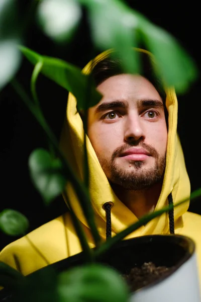 Um homem em uma camisola amarela segura em suas mãos um vaso de flores brancas com um Monstera em um fundo escuro . — Fotografia de Stock