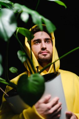 Sarı tişörtlü bir adam elinde beyaz bir saksı ile karanlık bir arka planı olan bir canavar tutuyor..