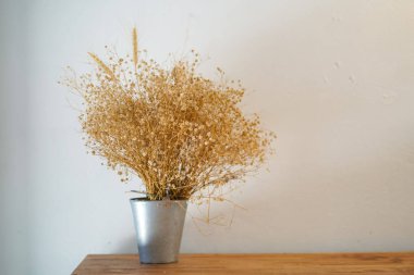 Güzel kurutulmuş çim Izole beyaz arka plan.