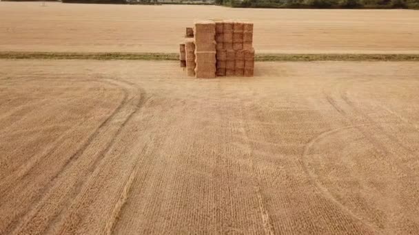 Bajo Vuelo Sobre Pajar — Vídeos de Stock