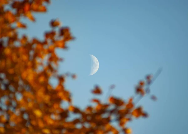 Φεγγάρι Ένα Μπλε Ουρανό Στη Μέση Της Ημέρας — Φωτογραφία Αρχείου