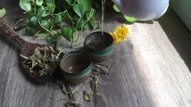 Чашка Горячего Чая Клипов Stevia Herbs — стоковое видео