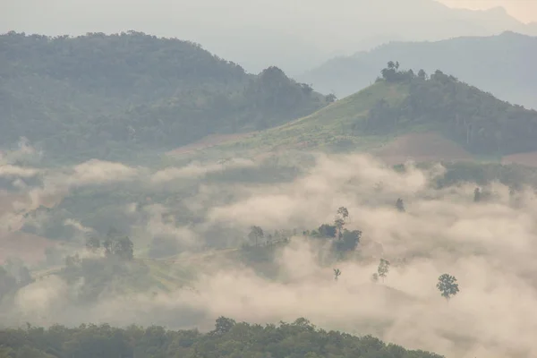 Vistas a las montañas y bosques, El lugar es Japo Village —  Fotos de Stock