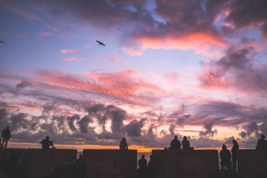 İnsanlar bir görünümü ile uçan kuşlar ve alacakaranlık gökyüzü günbatımı güzel mavi kırmızı mor ve pembe renk tonları akşam saatlerinde yapılan rahatlatıcı zaman var.