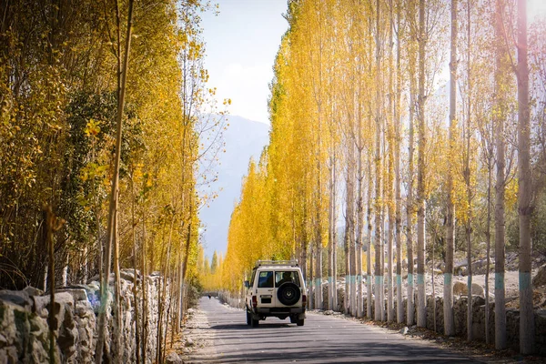 Jeeb Está Corriendo Camino Hacia Khaplu Entre Los Álamos Hojas — Foto de Stock