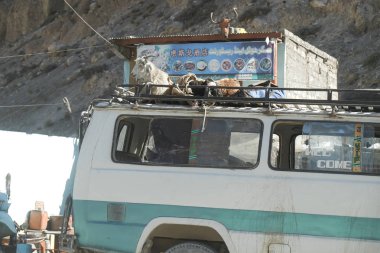 Goats are lying on the bus roof. Sost, Gilgit Baltistan, Pakistan. clipart