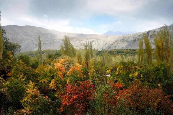Sonbahar sahne Khaplu, Gilgit Baltistan, Pakistan.