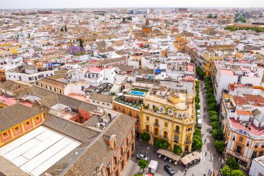 Giralda 'nın tepesinden Sevilla' nın şehir manzarası. Endülüs, İspanya.