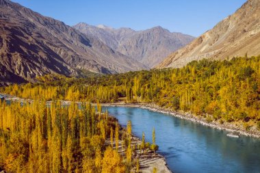 Güz Gahkuch renkli orman içinden nehir akışı göstermek ve karakurum aralığındaki dağlarla çevrili. Ghizer, Gilgit Baltistan, Pakistan.